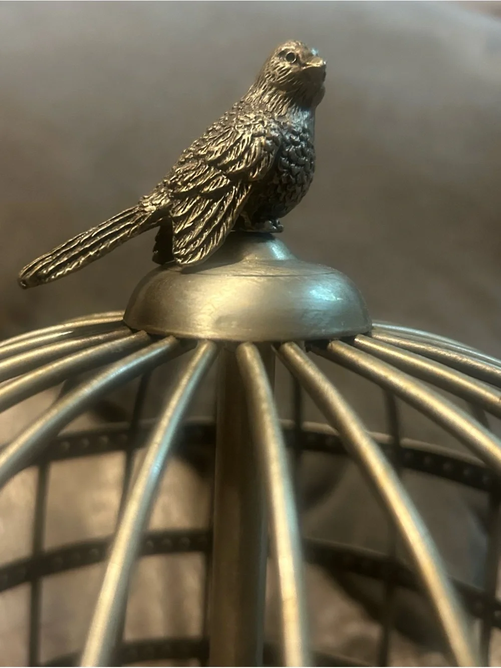 Decorative Metal Birdcage earring organizer